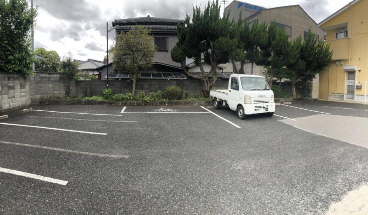 和泉市での剪定事例ビフォー