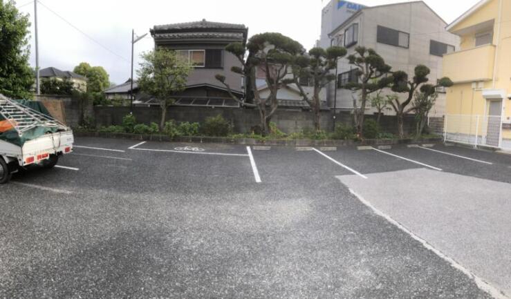 和泉市での剪定事例