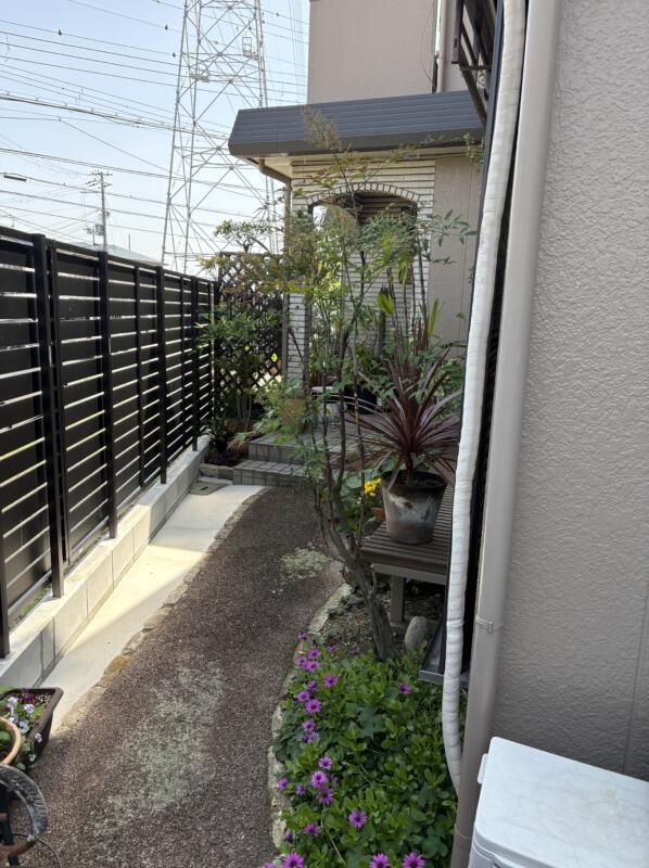 堺市北区のナンテンの剪定後