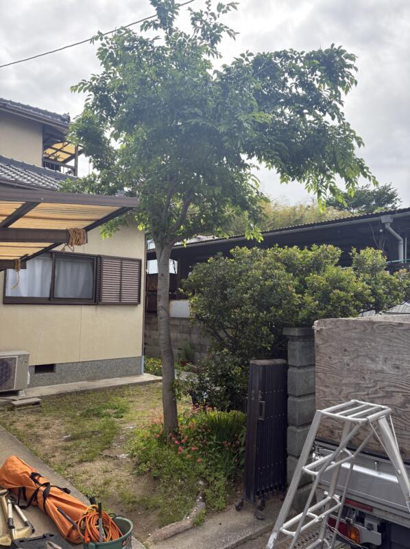 堺市中区抜根の画像