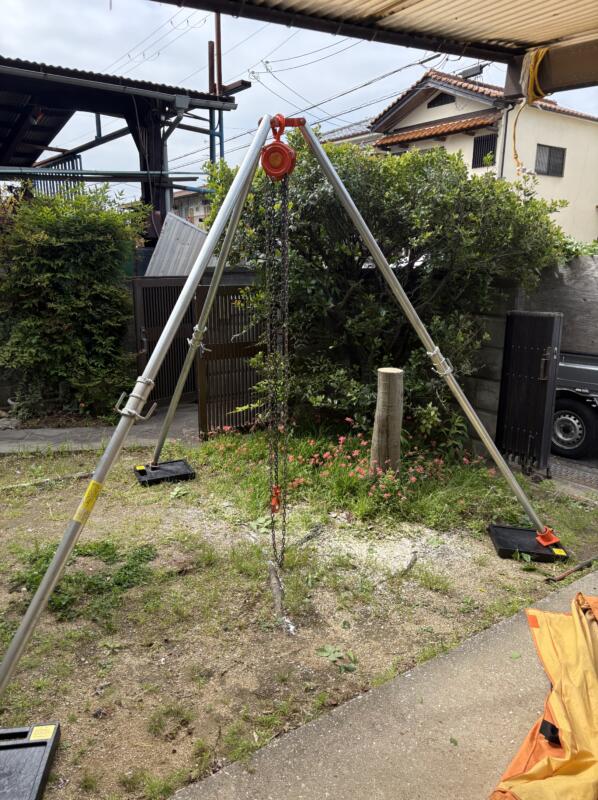 チェーンブロックで抜根の準備が完了した写真