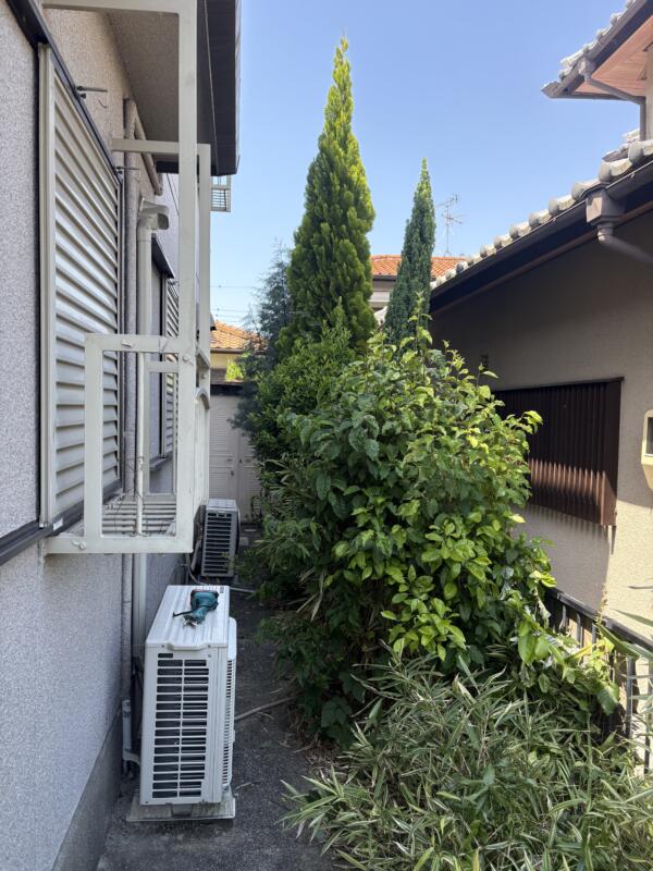 草刈り伐採前の写真