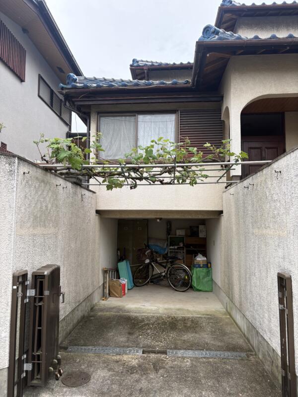 ブドウの木剪定後