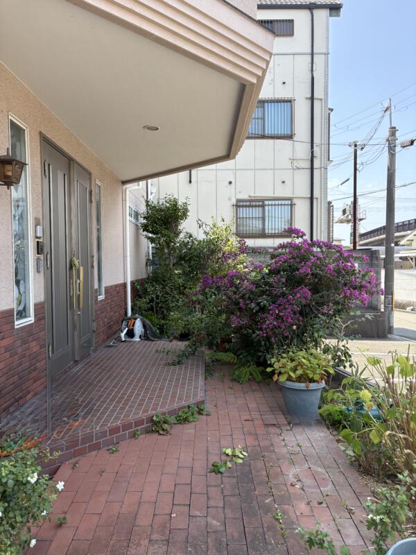 堺市北区でブーゲンビリアなどの剪定前