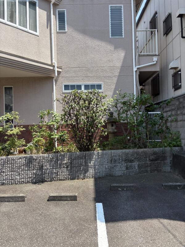 堺市北区剪定 施工後