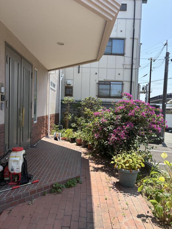 堺市北区でのブーゲンビリアなどの剪定後