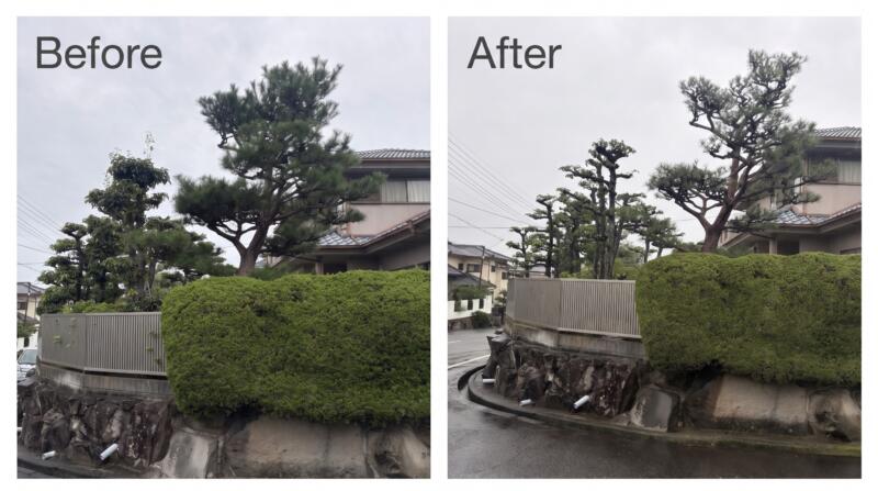 堺市南区でお庭の年間管理
